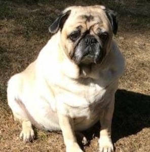 Meet your Posher, Lori